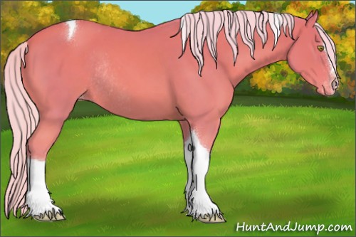 Horse Color:Watercolor Silver Sable Champagne Sabino Tobiano Varnish Rabicano
