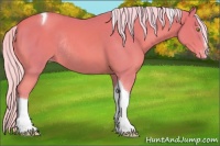 Horse Color:Watercolor Silver Sable Champagne Sabino Tobiano Varnish Rabicano