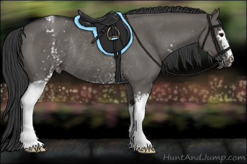 Horse Color:White Spotted Grullo Varnish Rabicano 