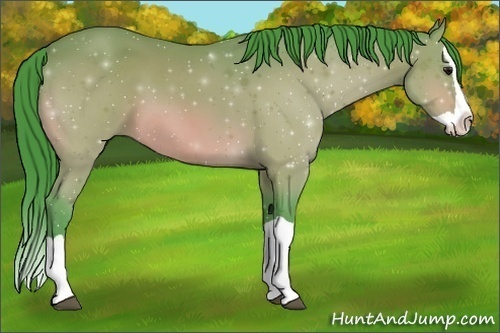 Horse Color:Watercolor Bay Splash 