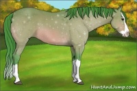 Horse Color:Watercolor Bay Splash