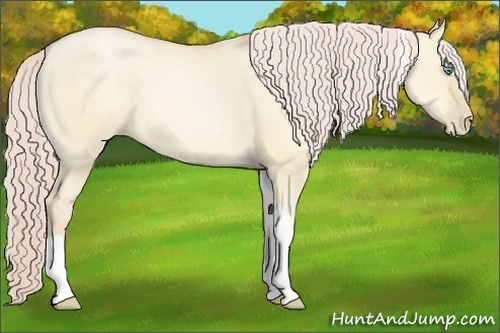 Horse Color:Palomino Pearl Dun Tobiano 
