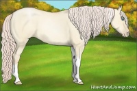 Horse Color:Palomino Pearl Dun Tobiano 