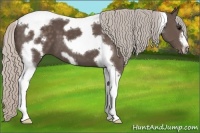 Horse Color:Silver Black Tobiano Frame