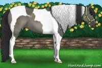 Horse Color:Grullo Tobiano