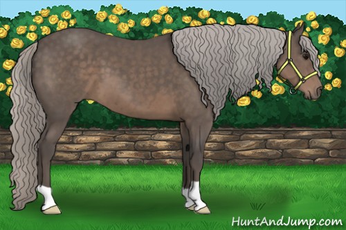 Horse Color:Silver Black 