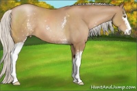 Horse Color:White Spotted Silver Black Pearl Sabino