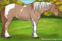 Horse Color:Red Roan Tobiano 