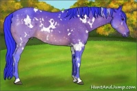 Horse Color:Watercolor White Spotted Brown 