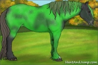 Horse Color:Smoky Black Varnish