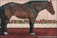 Horse Color:Brown Ice  and Brown 