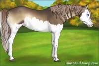 Horse Color:Chocolate Palomino Onyx Splash