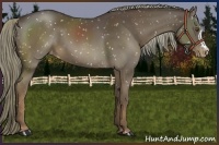 Horse Color:Liver Chestnut Mushroom Snowflake Varnish 