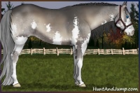Horse Color:Blue Onyx Splash 