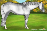 Horse Color:Silver Blue Onyx Chinchilla 