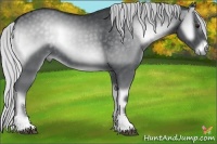 Horse Color:Silver Blue Onyx Chinchilla Sabino 