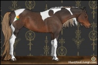 Horse Color:Liver Chestnut Tobiano 