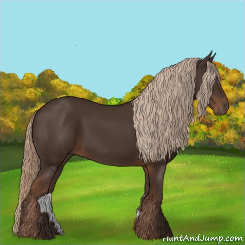 Horse Color:Liver Chestnut 
