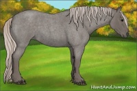 Horse Color:Silver Blue Roan