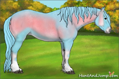 Horse Color:Watercolor Blue Onyx Tobiano
