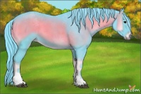 Horse Color:Watercolor Blue Onyx Tobiano