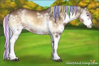 Horse Color:Painted White Spotted Silver Brown Onyx Splash