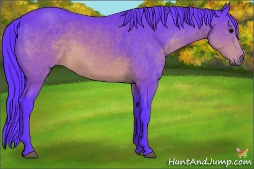 Horse Color:Watercolor Brown Sabino 