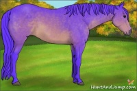 Horse Color:Watercolor Brown Sabino 