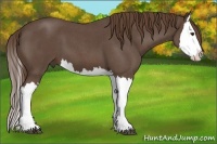 Horse Color:Liver Red Roan Splash