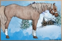 Horse Color:Silver Blue Roan 