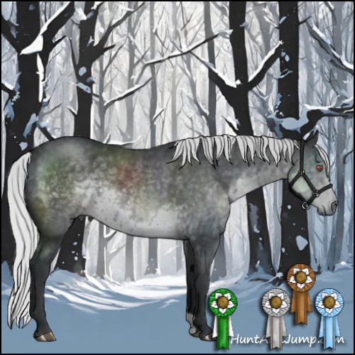 Horse Color:Silver Black Chinchilla 