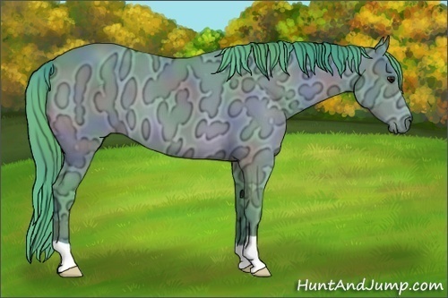 Horse Color:Nacre Watercolor Brown Ice 