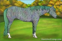Horse Color:Nacre Watercolor Brown Ice