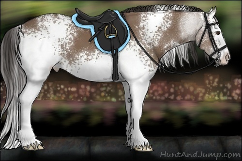 Horse Color:White Spotted Liver Red Dun