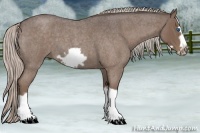 Horse Color:Silver Blue Roan Splash Frame