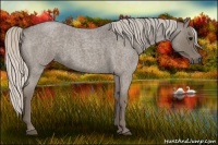 Horse Color:Silver Blue Roan 