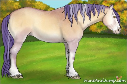 Horse Color:Watercolor Amber Champagne Onyx Sabino 