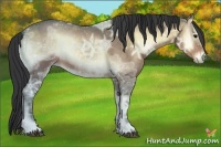 Horse Color:Bay Ice Onyx