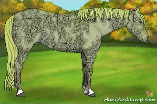 Horse Color:Watercolor Red Dun Ice 