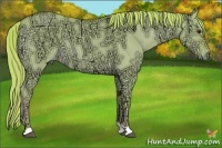 Horse Color:Watercolor Red Dun Ice 