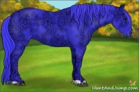 Horse Color:Watercolor Black Ice 