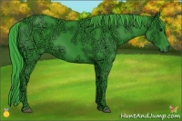 Horse Color:Watercolor Black Ice 