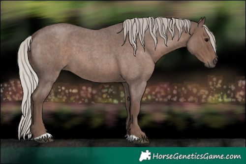 Horse Color:Silver Blue Roan 