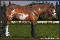 Horse Color:Brown Frame Varnish and Brown Frame Varnish Rabicano