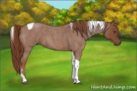 Horse Color:Red Roan Tobiano 
