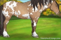 Horse Color:White Spotted Sable Champagne Varnish 