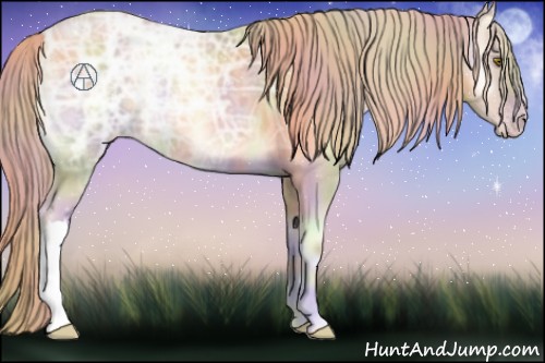 Horse Color:Nacre Gold Cream Champagne Ice Onyx 