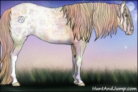 Horse Color:Nacre Gold Cream Champagne Ice Onyx 