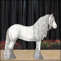 Horse Color:Perlino Blanket and White Spotted Perlino Blanket