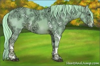 Horse Color:Watercolor White Spotted Chestnut Ice 